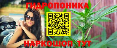 ГАЛЛЮЦИНОГЕННЫЕ ГРИБЫ Дубна